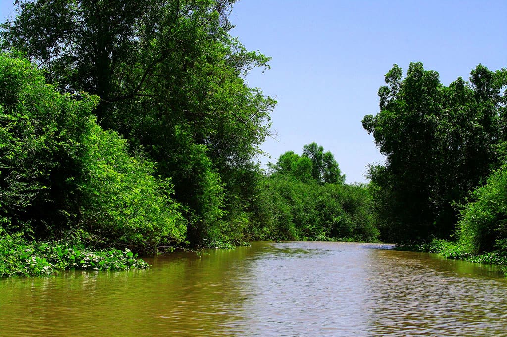 Areia movediça, Delta do rio Parnaiba - Parnaíba PI