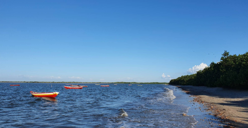 Cajueiro da Praia