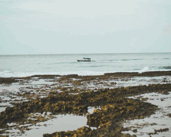 Como é o clima em Barra Grande? Tudo que você precisa saber