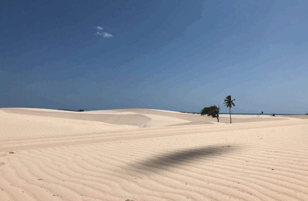 Ilha do Amor, Camocim