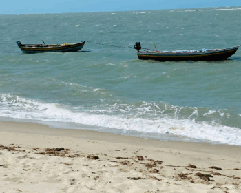 10 Experiências únicas e autênticas em Barra Grande, Piauí